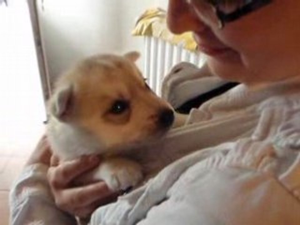 Première femelle prise à bras mais ce ne sera pas haska.