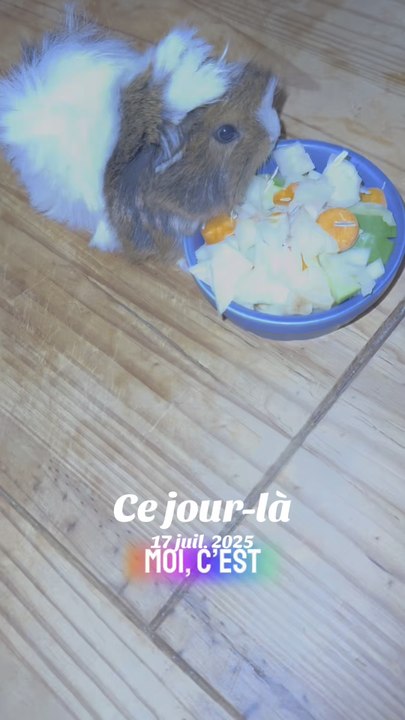 Caramel se régale avec sa petite assiette de légumes !