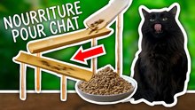 J’ai inventé une machine pour nourrir mon chat !