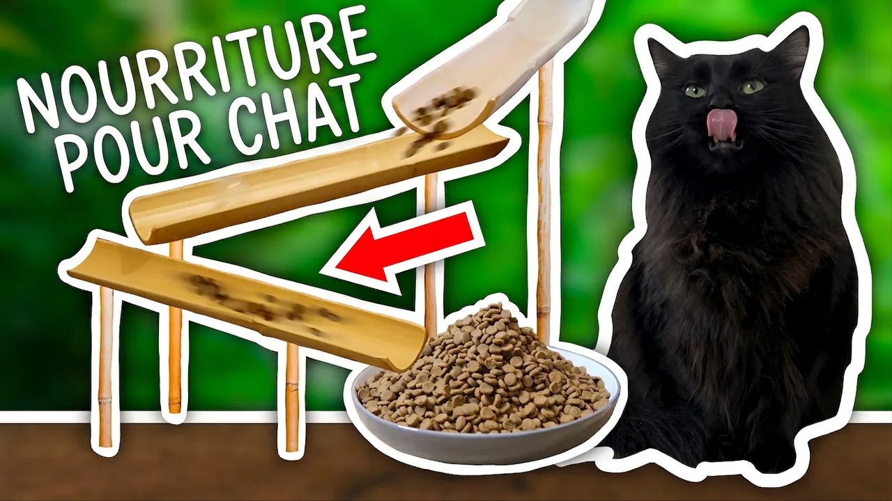 J’ai inventé une machine pour nourrir mon chat !