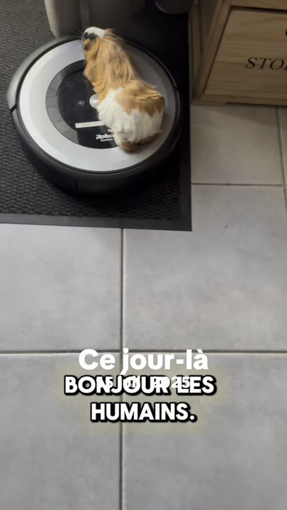 Salut, moi c’est Chipie ! ❤️