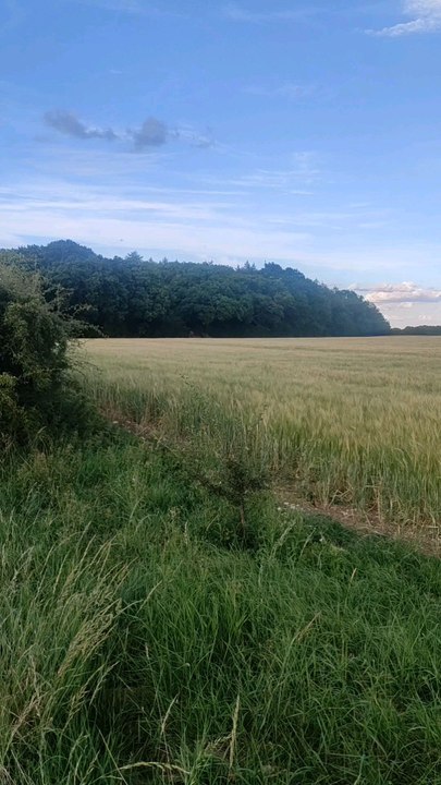 Nice views