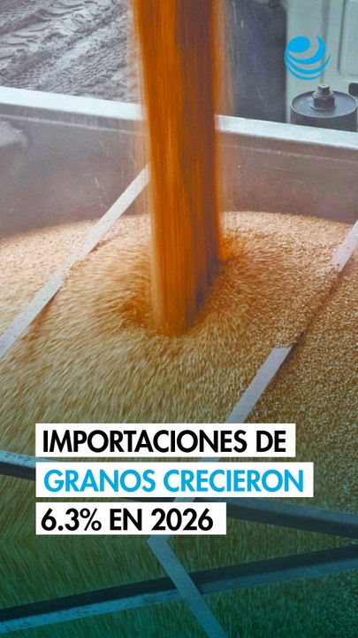 Importaciones de granos y oleaginosas de México subieron 6.3% en la primera mitad del 2026
