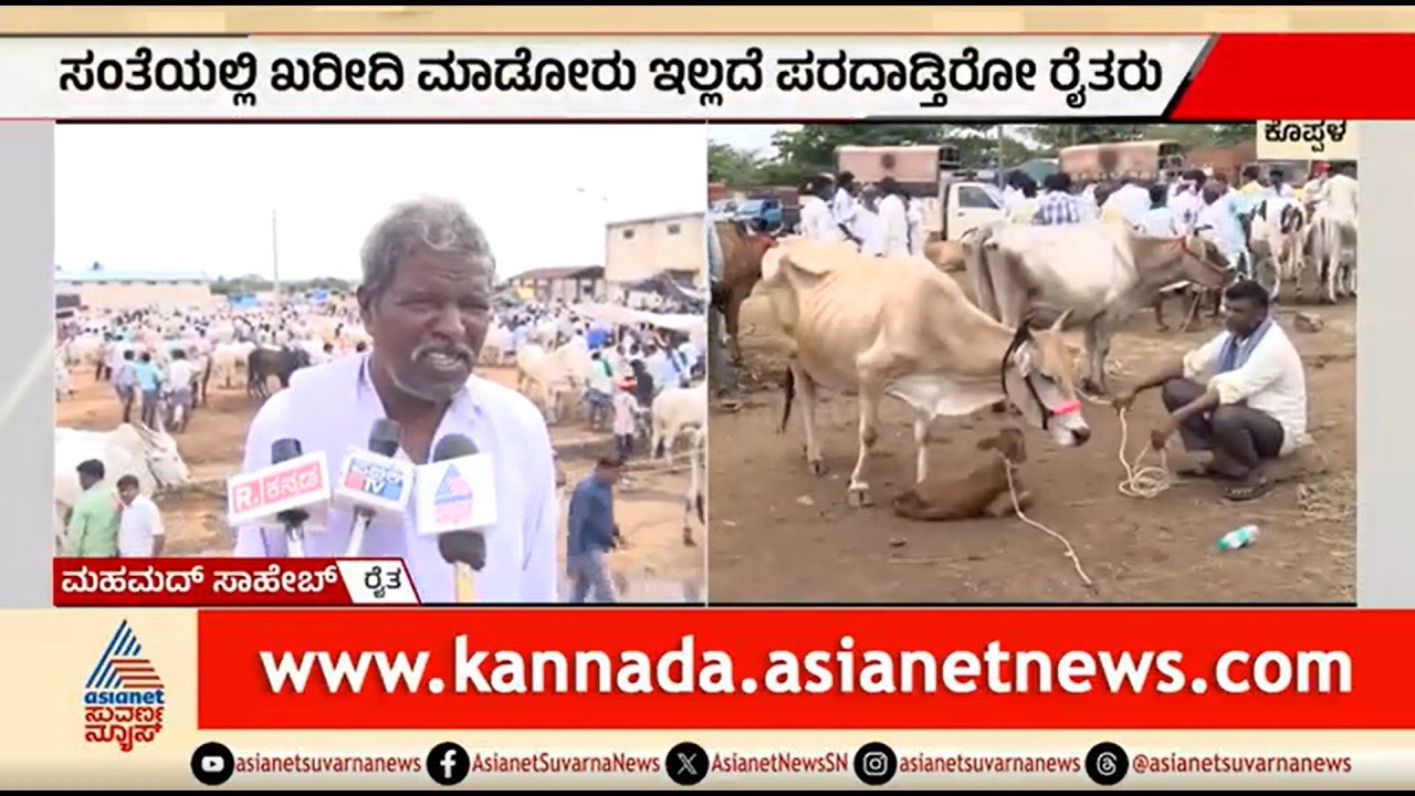 ಕೈಕೊಟ್ಟ ಮಳೆ, ಮೇವಿನ ಕೊರತೆ; ಜಾನುವಾರುಗಳನ್ನ ಮಾರಾಟಕ್ಕೆ ಮುಂದಾದ ರೈತರು | Koppal | Karnataka Drought