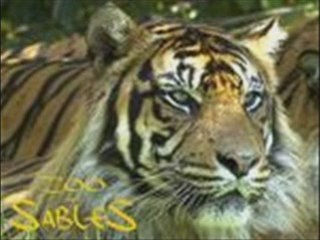 Voici tout plein dimages danimaux