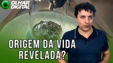Olhar Espacial: meteorito revela segredo escondido há bilhões de anos