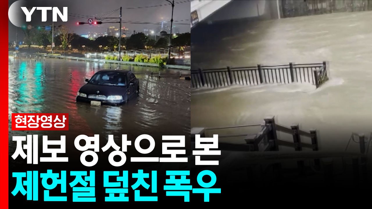 제헌절 덮친 장맛비 폭우...제보영상으로 본 호우 상황 [현장영상+] / YTN