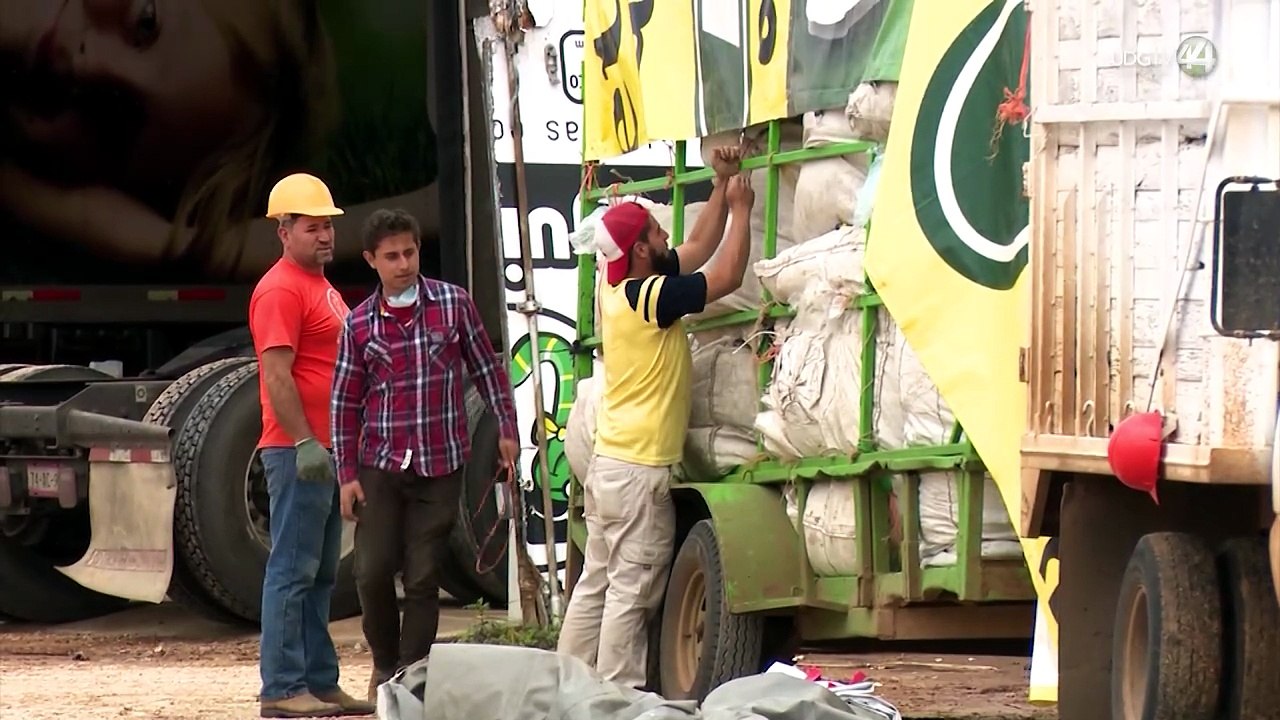 Pérdida de empresas afecta más a comercio y servicios en Jalisco