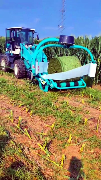 Relaxing & Oddly Satisfying Harvesting Process You Can’t Stop Watching! 😍