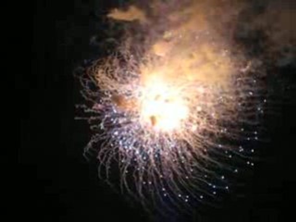 Feu d'artifice Seattle I
