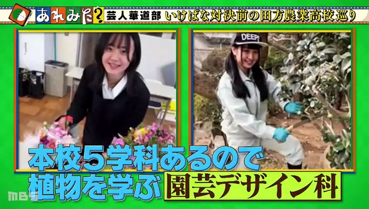 あれみた？ 「あれみた？芸人華道部 熱海合宿完結編 農業高校と対決！」（＃215） - 2026年06月01日 [Full Movie]