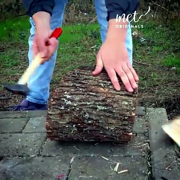 Homemade Bird houses from a natural log