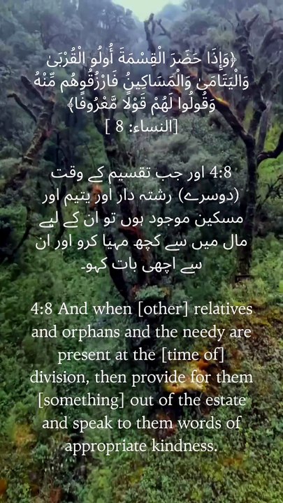 Justice with compassion. Share with relatives, orphans, and the needy, and always speak with kindness. 🤍 Qur'an 4:8 #Quran #Islam #Kindness #Charity #IslamicReminder