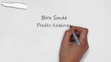 Kode Syair Boru Sunda Hari Sabtu 18 Juli 2026 #paktuntung