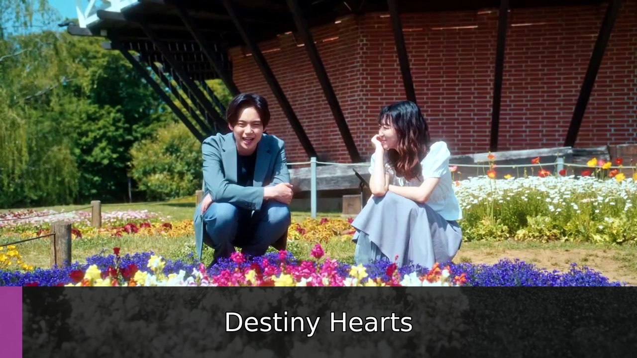 Let's End Our Friendship Now Episode 4 I Destiny Hearts