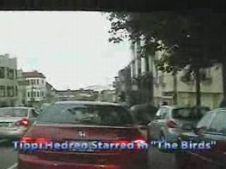 4th Of July In San Francisco: Northern Cali Tour '08