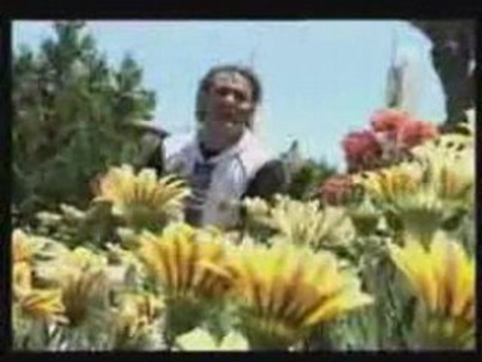 Chaabi rai 2008 maroc