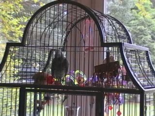 Oh crunch ça va barder