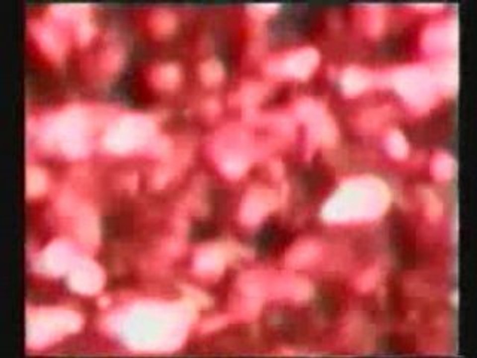 Heliogabale sur MCM (1994) part 3