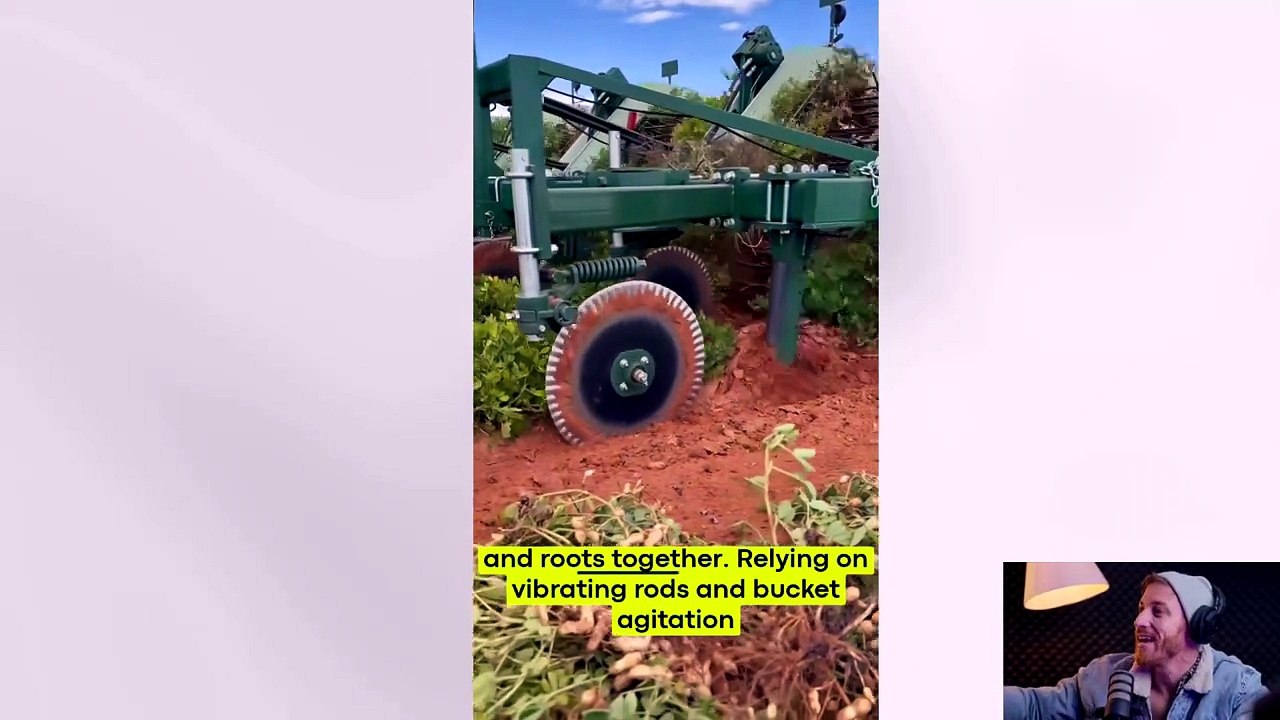 Why German Farms Replaced 40 Workers With One Machine — Modern Peanut Harvesting Explained