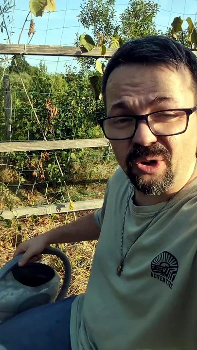 Année sans pluie... Potager en galère #potager #jardinage #arrosage