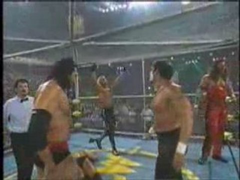 WCW Superstar Series - The Nature Boy Ric Flair 2 6