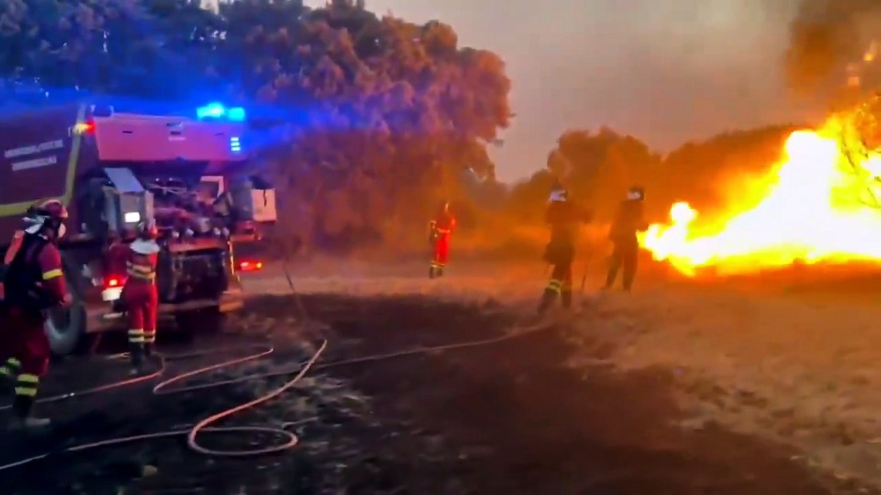 La UME se despliega en el sector de Luesia para atajar el fuego en Orés