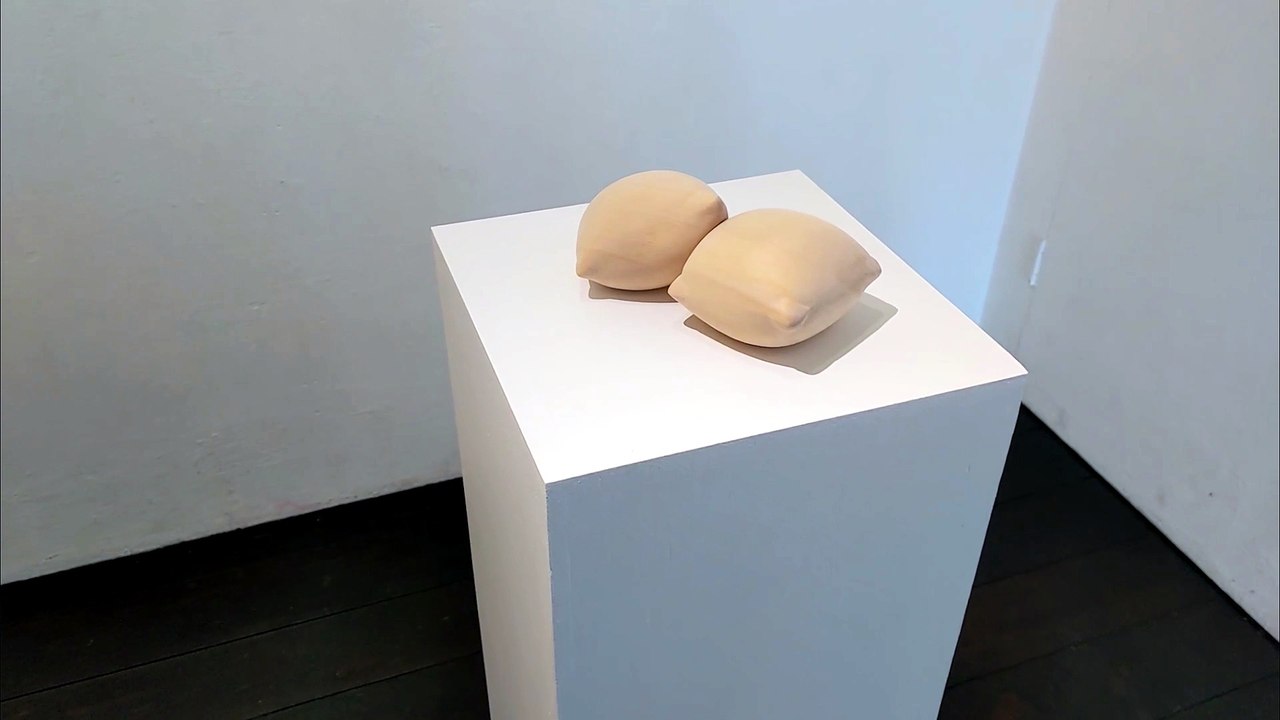 547 ANNA YAMANISHI in KUNSTARZT