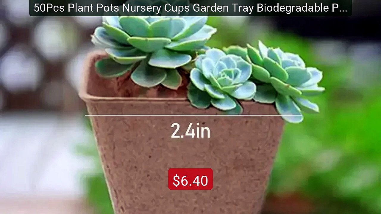50Pcs Plant Pots Nursery Cups Garden Tray Biodegradable Paper Pulp... -- Best Deal 2026 | Shop Now!