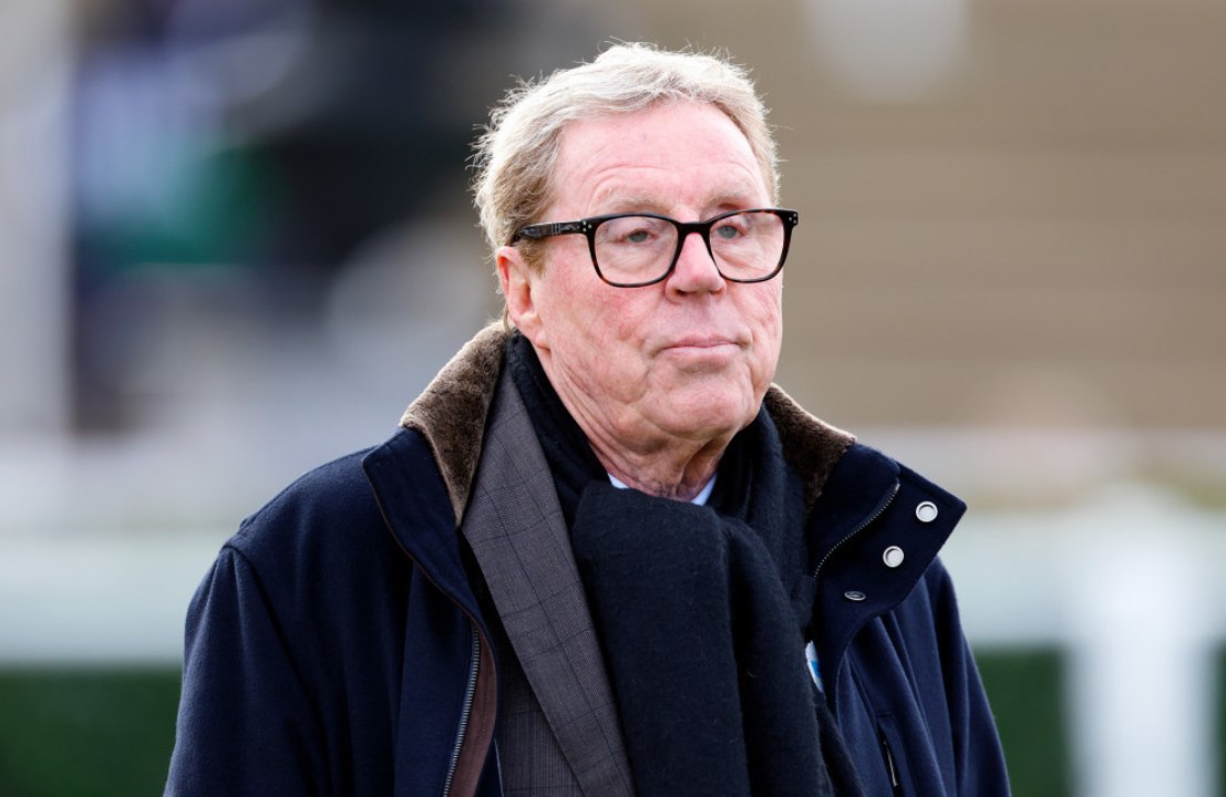 Harry Redknapp reveals theory on why US celebrities are investing in English football