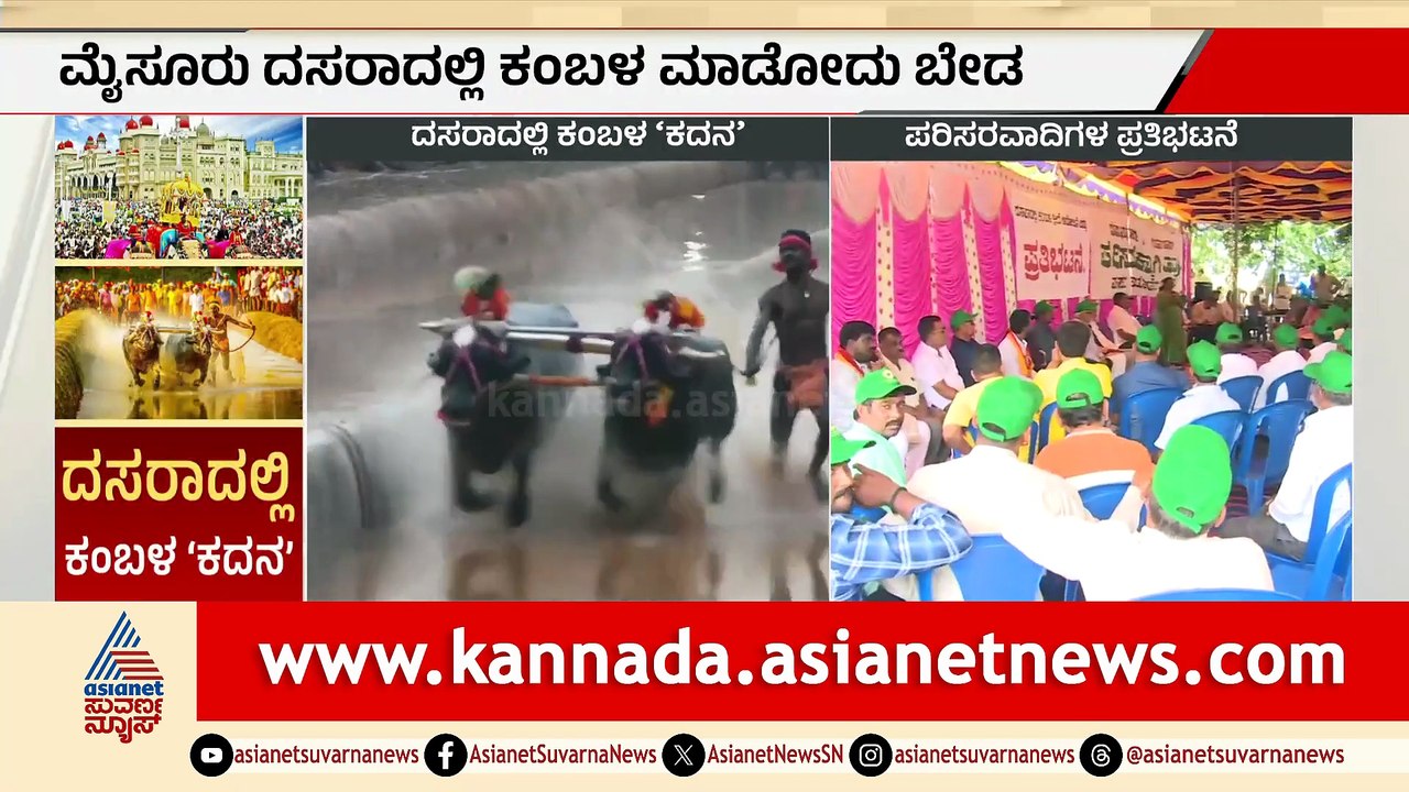4PM News 3