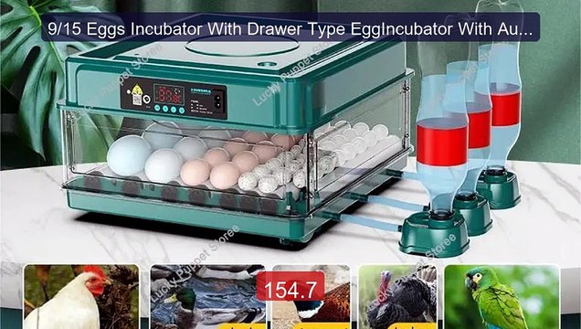 9/15 Eggs Incubator With Drawer Type EggIncubator With Automatic Wa... Top Rated 2026 | Buy Now!