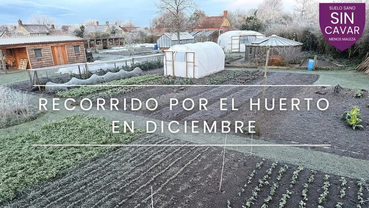Recorrido invernal: huerto, almacenamiento, composta y preparación de camas de cultivo sin cavar