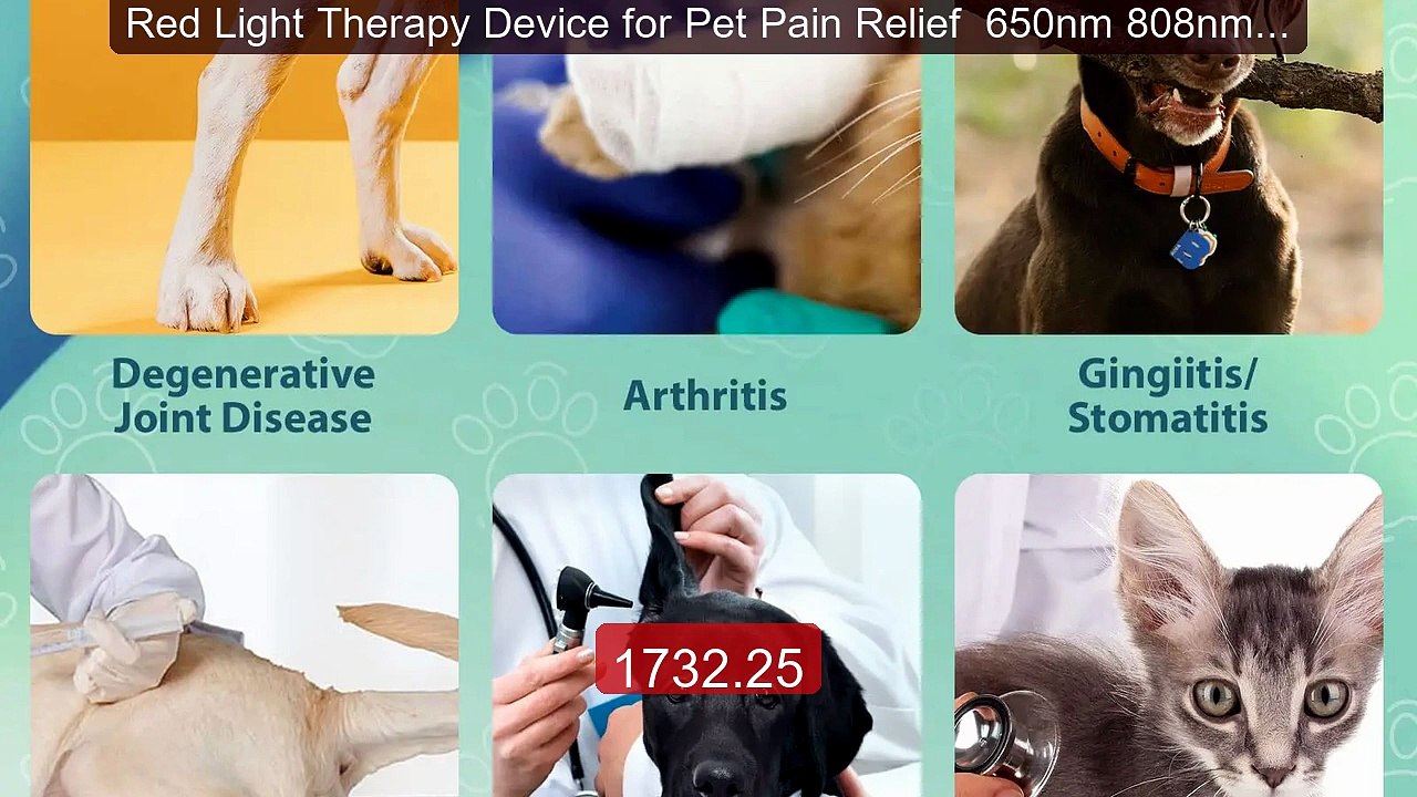Red Light Therapy Device for Pet Pain Relief  6...