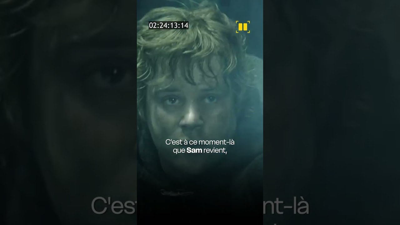 Dans Le Seigneur des anneaux : le retour du roi, ce n’est pas du tout le bras de l’acteur de Sam que