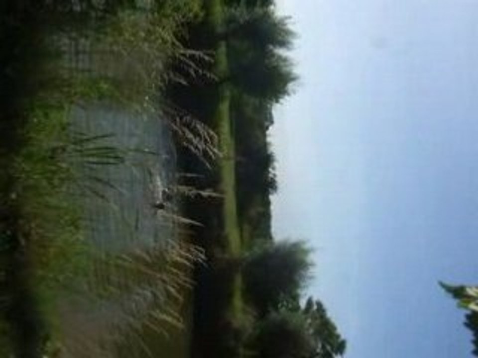 2009_0705photo0106