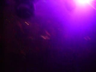 Neophyte All Stars Live act