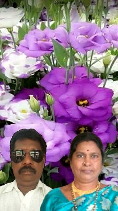 Aadave Andala Sura