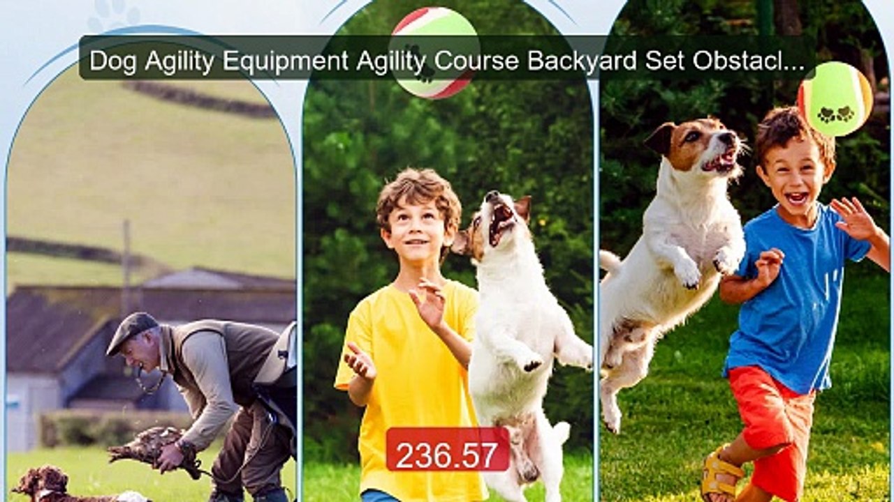 Dog Agility Equipment Agility Course Backyard Set Obstacle Co... -- Amazing Value 2026 | Must Have!