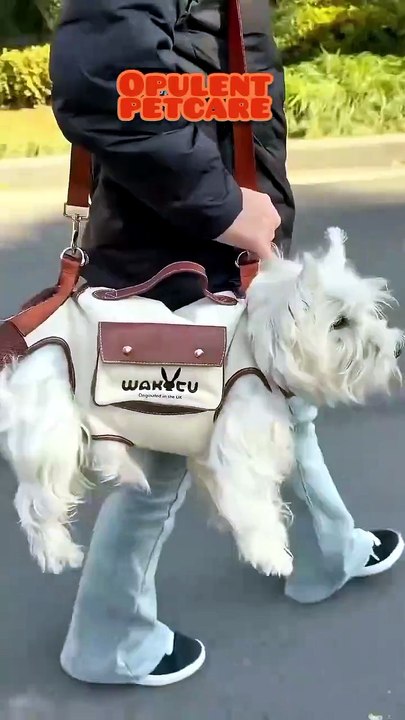 HIPIPET Crossbody Pet Carrier – Secure Harness, Chic Design