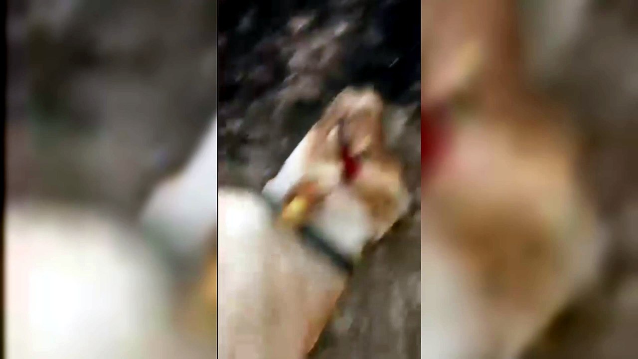 Inferno di fuoco a Noragugume, le fiamme sterminano il bestiame: il dolore di un allevatore - VIDEO