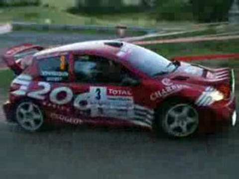 Guebey 206 WRC Rallye Rouergue 2008