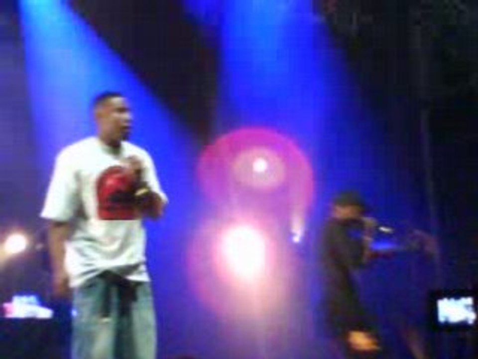 Dizzee Raskal - Stand up tall @ Halles de la Vilette Paris
