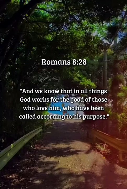 ✨ Trust God’s Plan | Powerful Prayer for Hope & Breakthrough | Romans 8:28