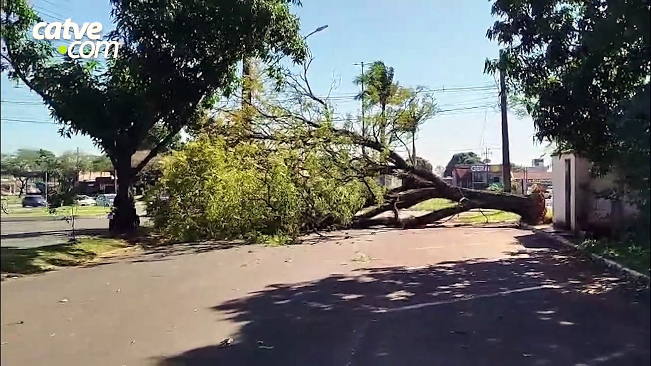 Ventania causou transtornos em diferentes regiões de Foz do Iguaçu