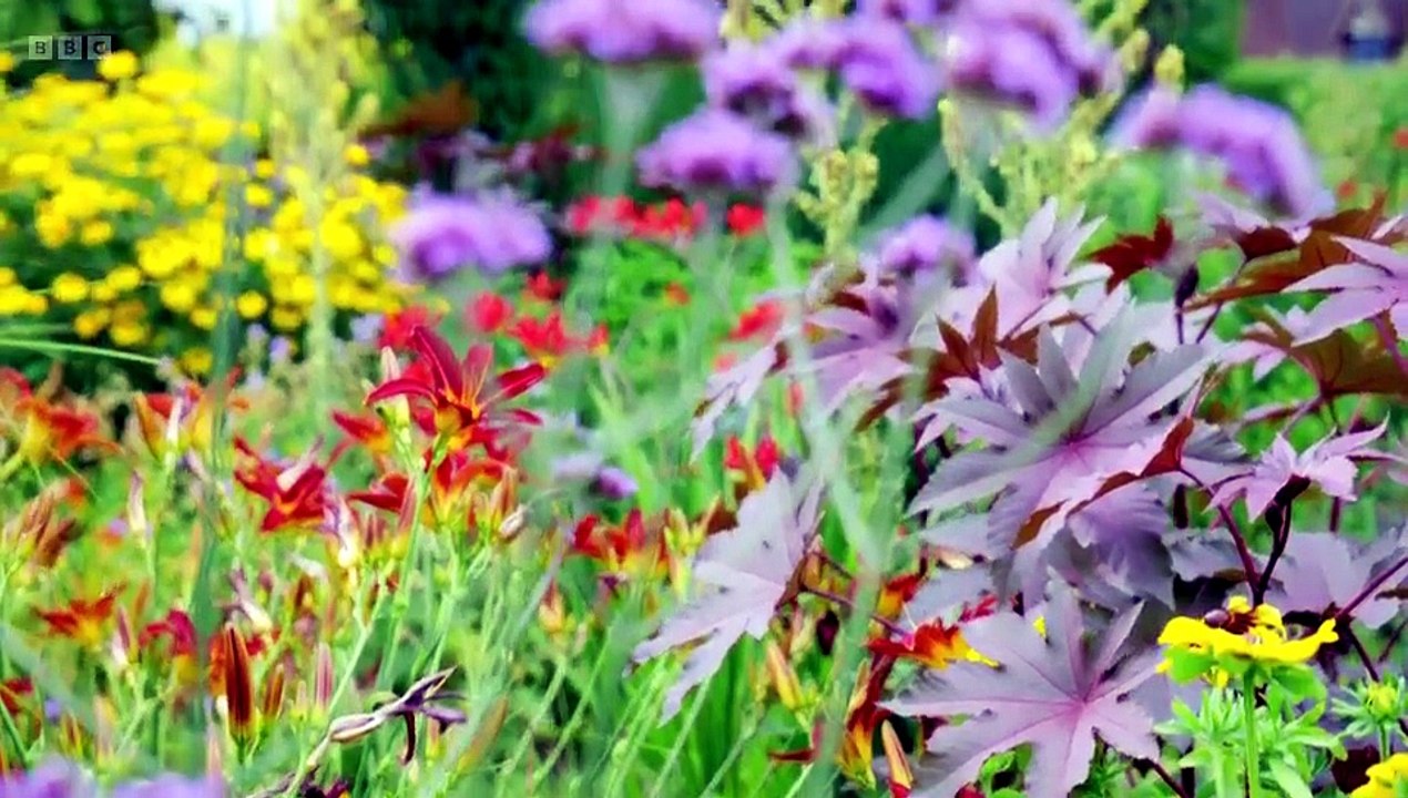 Gardeners' World (1968) Season 59 Episode 18