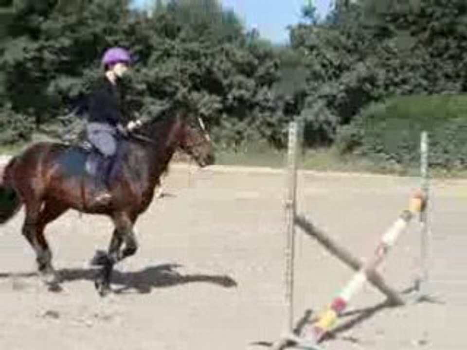 nikita et galaad