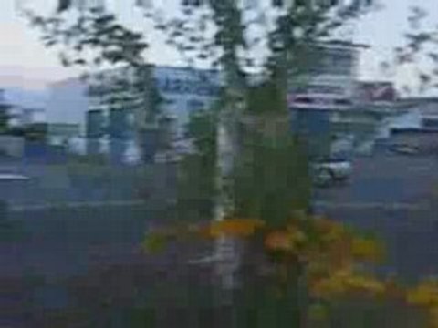 illegal street drifting by stan x