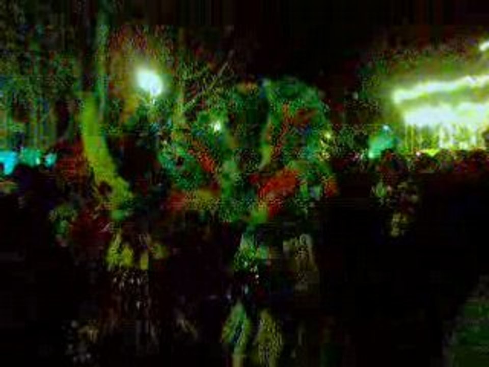 Carnaval de Rio in Paris 3