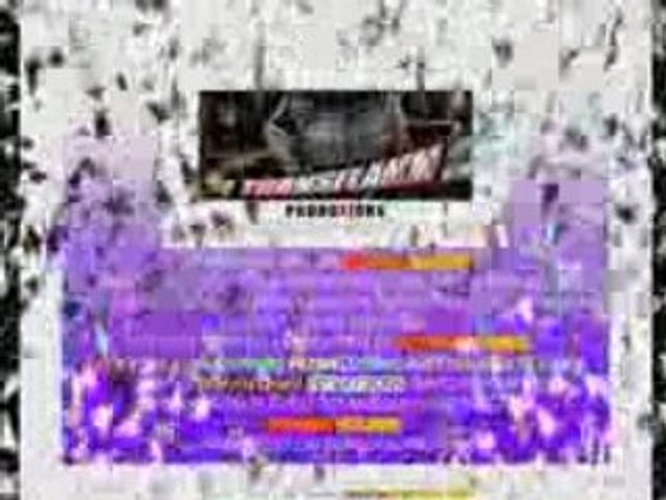 DRAGONLYRIC-TRANSFLAMM TT1_GERMAN_+